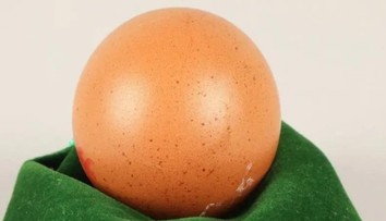 Rarita za poriadny balík. V Británii vydražili takmer dokonale okrúhle vajce