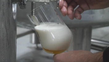Pivovary na Slovensku bojujú s existenčnými problémami. Do cesty sa im stavajú nečakaní súperi