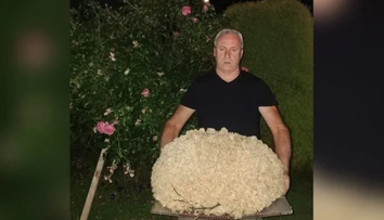 Išiel na ryby, vrátil sa s gigantickou vzácnou hubou. Josef prekonal národný rekord