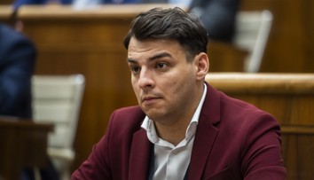 Za hlasmi OĽANO z osád má byť dobrá kampaň, nie sľúbených 500 eur, myslí si Pollák mladší