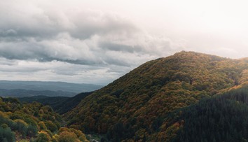 Bulhar zmizol a vyhlásili ho za mŕtveho. Po sedemnástich rokoch ho našli a rovno dostal pokutu