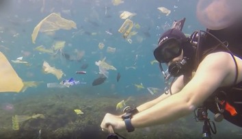 Krutá realita oceánov: Znečistenie je horšie, ako si väčšina ľudí myslí, hovorí slovenský potápač