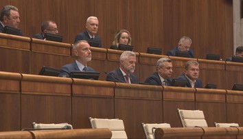 Vláda mala požiadať NR SR o vyslovenie dôvery, prikazuje jej to ústavný zákon. Doteraz tak neurobila