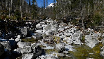 Rezervácie nie sú významným zdrojom lykožrútovej kalamity, tvrdia odborníci