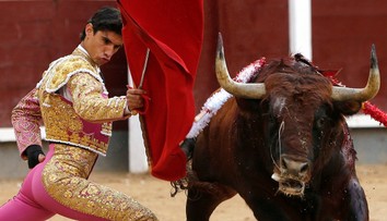 Býk zabil 29-ročného matadora. Prepichol mu srdce