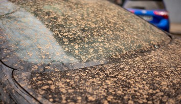 Ako kolóna nákladiakov dlhá 275 km. Na Slovensko dopadlo vlani rekordné množstvo saharského prachu