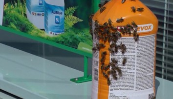 FOTO+VIDEO: Na benzínke vypustil roj včiel a odišiel. Vraj skúšal, či samy trafia domov