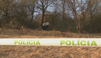 Horor na východe Slovenska: Žena ušla z nemocnice, plod potratila doma a zakopala v kríkoch