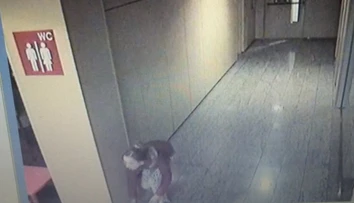 Zlodejka kradla v nákupnom centre bonsaje. Myslela si, že ju nikto nevidí