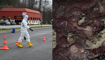 VIDEO: Pochovali tam 3 000 kusov dobytka, teraz krv a plyny bublajú na povrch. Všetko je v poriadku, tvrdia maďarské úrady