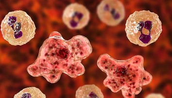 Smrtiaca vodná améba zaútočila na ďalšie dieťa. Osudným sa mu stalo kúpanie v jazere