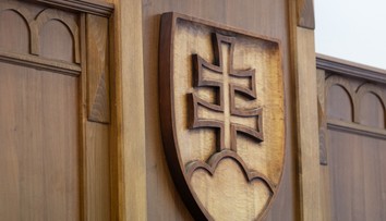 Súd rozhodol. Matka, ktorá zabila svojho trojročného syna, už pozná trest