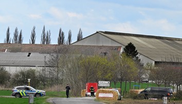 Na Slovensku neevidujú nové ohnisko slintačky a krívačky. V Plaveckom Štvrtku začali s utrácaním dobytka