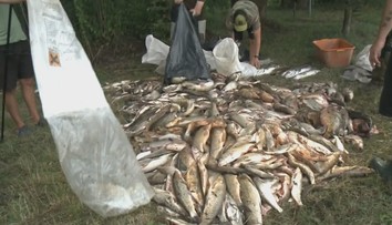 Katastrofe na Hrone sa dalo zabrániť. Schválenie stavby bioplynovej stanice vyvoláva otázky