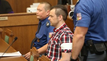 Kramný neplánoval zabiť  svoju dcéru Klárku. K vražde sa priplietla omylom, tvrdí súdny lekár