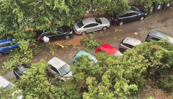FOTO a VIDEO: Bratislavou sa prehnala smršť. Silný vietor, lejak a krúpy po sebe zanechali spúšť