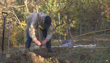 Záhradkári majú stále plné ruky práce. Čo všetko musia stihnúť do prvých mrazov?