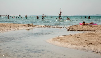 Na Malorke museli po útoku morského predátora zatvoriť pláž. Žene vytrhol z lýtka kus mäsa