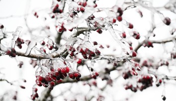 V noci udrú silné mrazy. V niektorých okresoch až mínus 19 stupňov (MAPA)