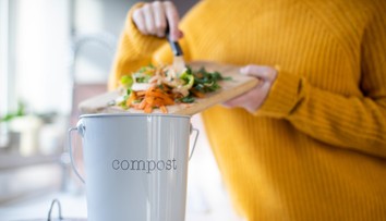 Najväčšie chyby pri kompostovaní. Tieto veci tam jednoducho nepatria