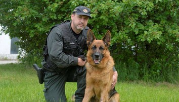 Nie Rex, ale Vels! Vlčiak v Bratislave vyňuchal zlodeja, ktorý sa vyhýbal base