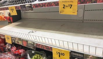 Kauza s ihlami v ovocí pokračuje, po Austrálii ich našli v ďalšej krajine