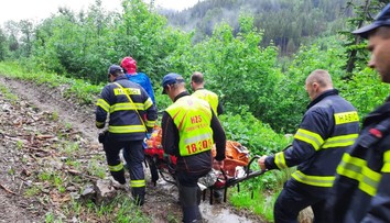 Dva útoky medveďa v priebehu pár dní. Zistili sme, ako sú na tom zranení muži