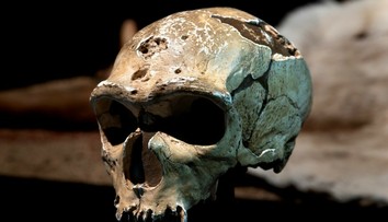 Objav, ktorý mení predstavu o praveku. Moderní ľudia žili po boku neandertálcov tisícky rokov