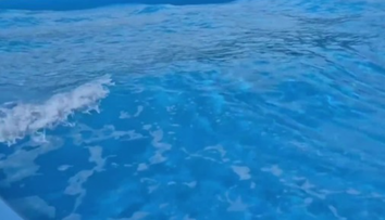 Idylická letná dovolenka trvala len deň. Chlapec (†3) spadol do bazéna, pomôcť mu už nedokázali
