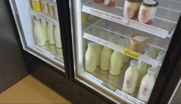 Vyzerá a chutí rovnako, no má sa lepšie tráviť. V obchodoch sa čoraz viac objavuje nový typ mlieka