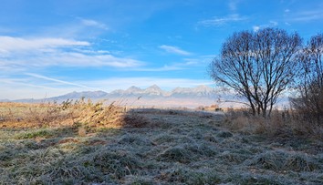 Kedy sa skončia mrazivé noci? Meteorológovia naznačujú zmenu