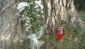 Smrť chlapca v Nitre vyvoláva otázniky: Kto nesie zodpovednosť za osudný strom?