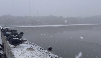 Obyvateľov Zvolena vystrašili neznáme mastné škvrny na hladine priehrady