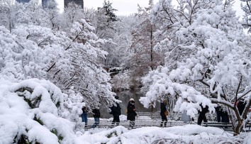 Čakajte krutý január, meteorológovia sa nestačia čudovať. Silvester prinesie na Slovensko nevídaný jav