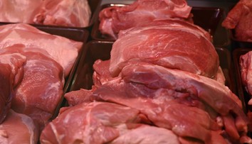 Je bezpečné konzumovať sivé mäso? Odborník má jednoznačnú odpoveď