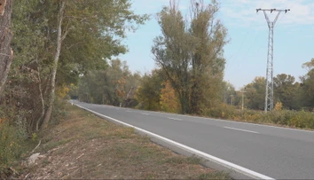 Stromy sa nakláňajú priamo nad cestu. Miestni varujú pred možnou tragédiou