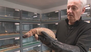 Peter chová jedovaté hady i jaštery. Štyrikrát ho pohrýzli, pretože z nich vyrába masti na rôzne problémy