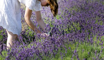 Slovenské Provensálsko. Na týchto miestach si môžete sami nazbierať levandule (+ mapa)