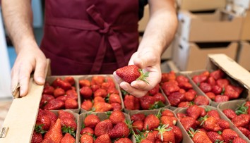 Do jedálne ZŠ na Slovensku sa mali dostať kontaminované jahody. Rodičom radia sledovať stav detí