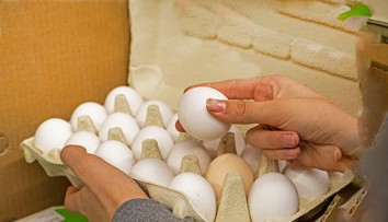 Hydinové mäso aj vajcia budú výrazne drahšie, avizuje Únia hydinárov Slovenska