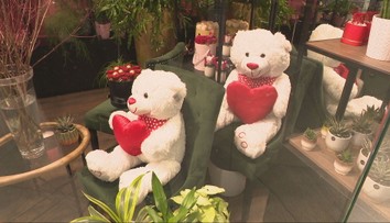 Slováci sa pripravujú na Valentín. To, po akých darčekoch tento rok siahajú, vás možno prekvapí