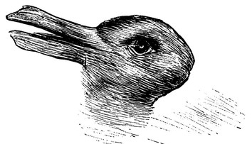 Je viac ako 120 rokov od tejto snímky. Vidíte zajaca alebo kačku?