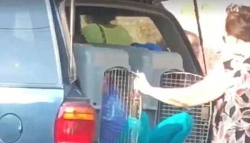 Babička viezla svoje vnučky (7,8) autom zatvorené v psích klietkach