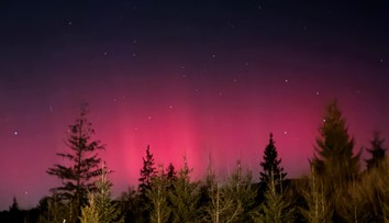 FOTO: Intenzita prekvapila aj odborníkov. Slováci zachytili polárnu žiaru na dychberúcich záberoch