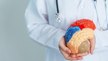 Chcete si udržať pamäť? O mozog sa treba starať už po tridsiatke, tieto signály neignorujte