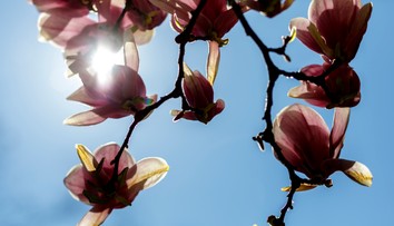 Počasie sa mení zo dňa na deň. Slovensko čaká dážď, sneh aj takmer letné teploty