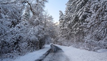 VIDEO: Slovensko sa prebudilo do bieleho rána. Sneh zasypal aj mnohé dediny
