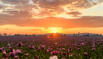 Zvraty počasia na Slovensku: V regiónoch dochádza k mimoriadnym teplotným rozdielom. Zasiahne nás saharský prach