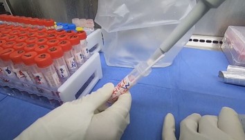 Na Skalických rybníkoch potvrdili vtáčiu chrípku, platia mimoriadne opatrenia