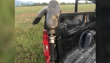 Parašutista si svoj prvý zoskok predstavoval inak. Počas pádu stratil nohu